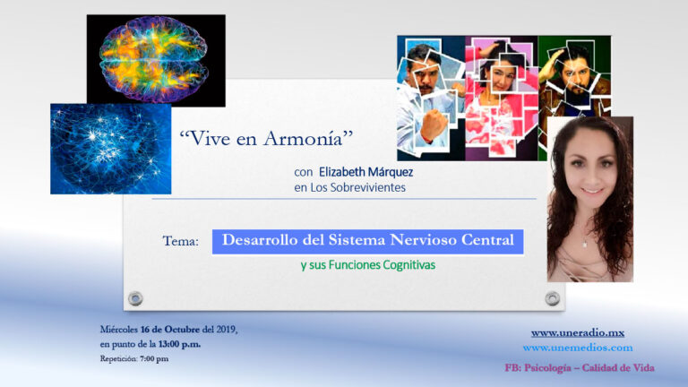 07-Desarollo-del-sistema-nervioso-central-y-sus-funciones