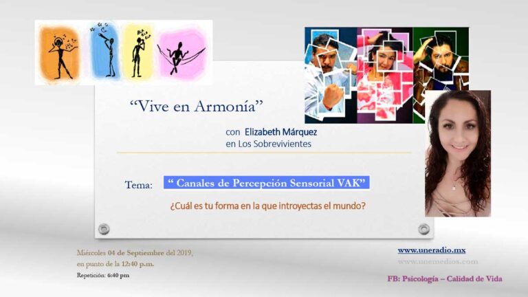 15-PNL-Percepción-Sensorial-VAR