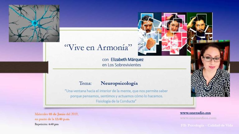 26-Neuropsicologia